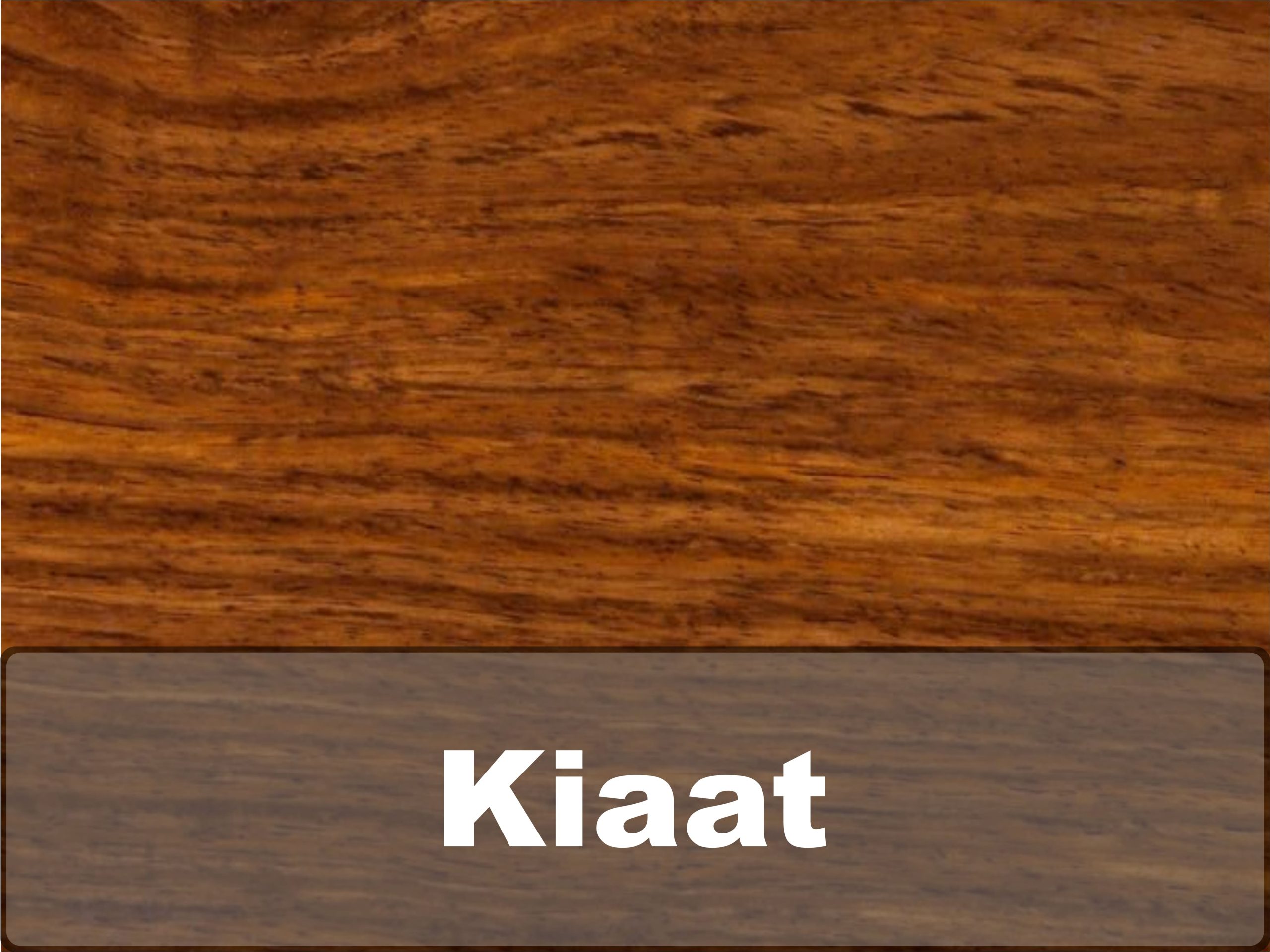 19. Kiaat